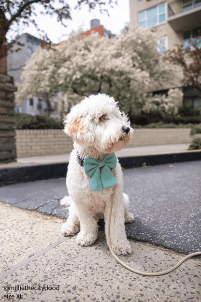 Matcha Sage Green Linen Dog Sailor Bow