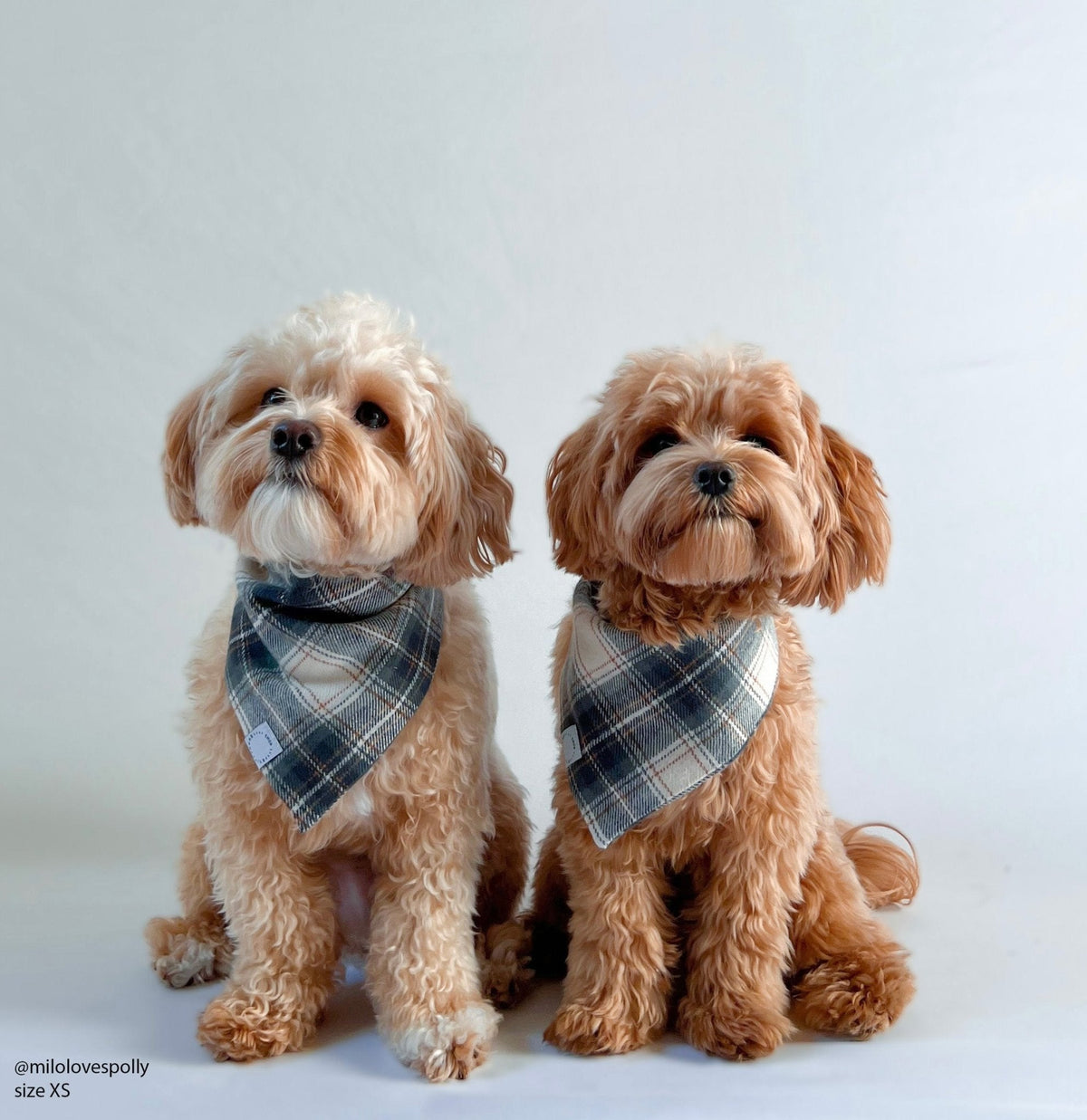Woodland Plaid Flannel Dog Bandana