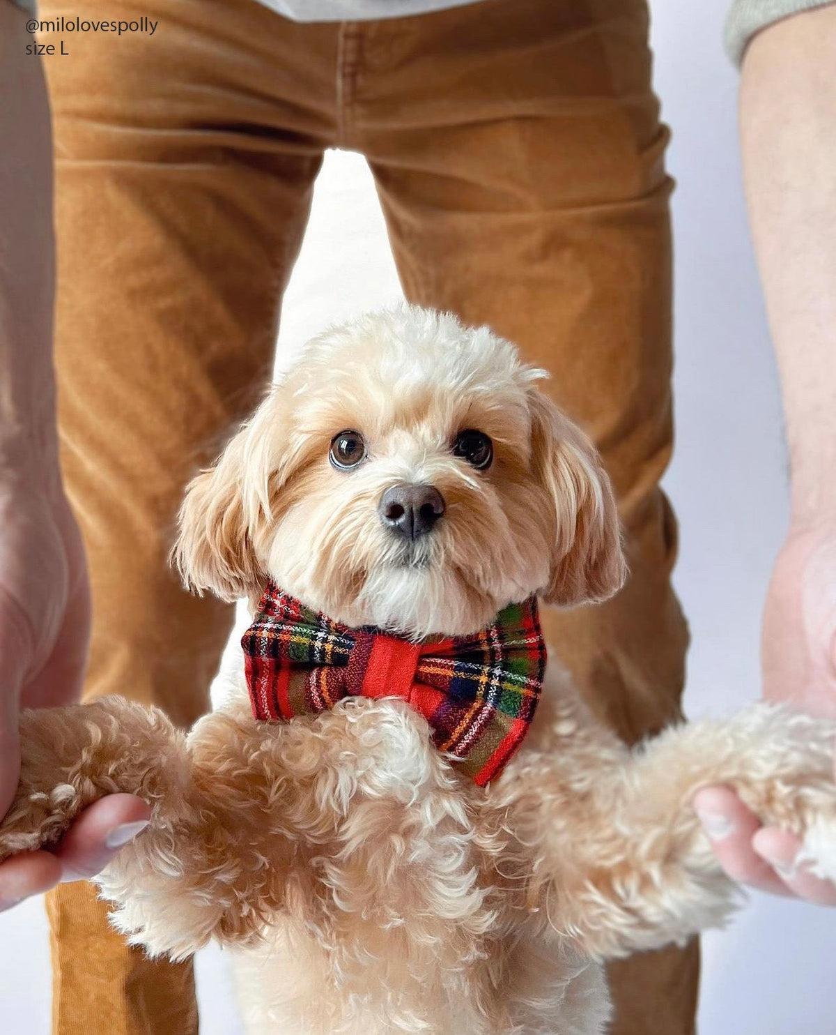 Christmas Flannel Dog Bow Tie