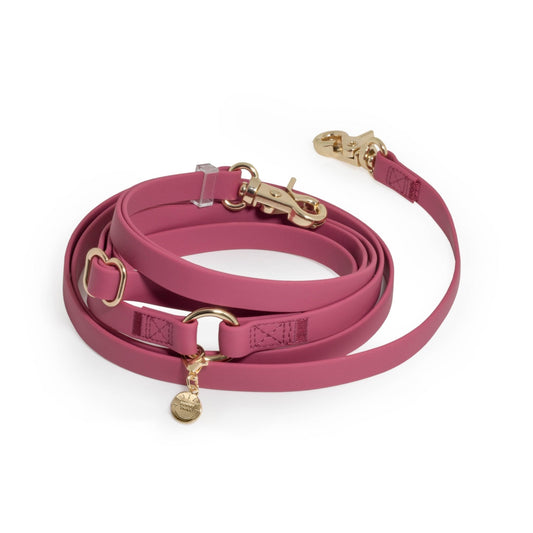 Mulberry Burgundy 4-in-1 Convertible Hands Free Cloud Dog Leash