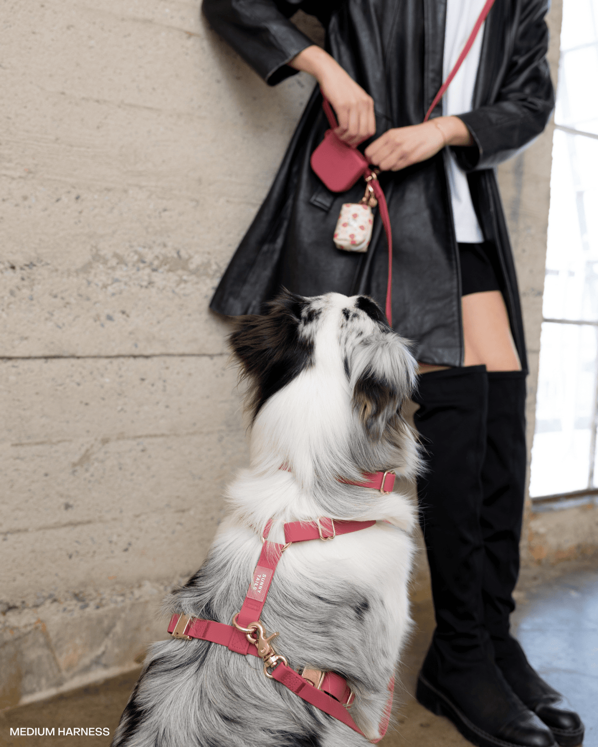 Mulberry Burgundy Cloud Lite Dog Harness