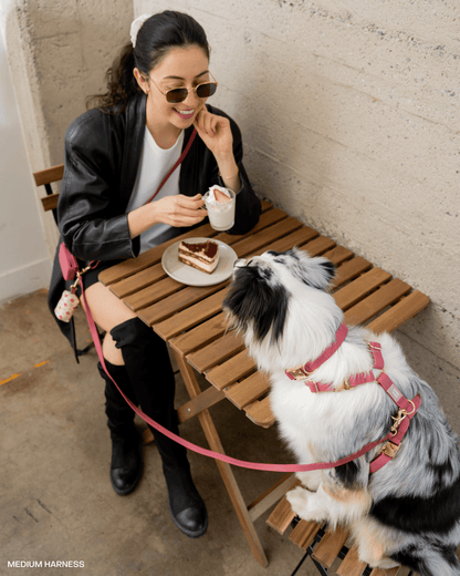 Mulberry Burgundy 4-in-1 Convertible Hands Free Cloud Dog Leash