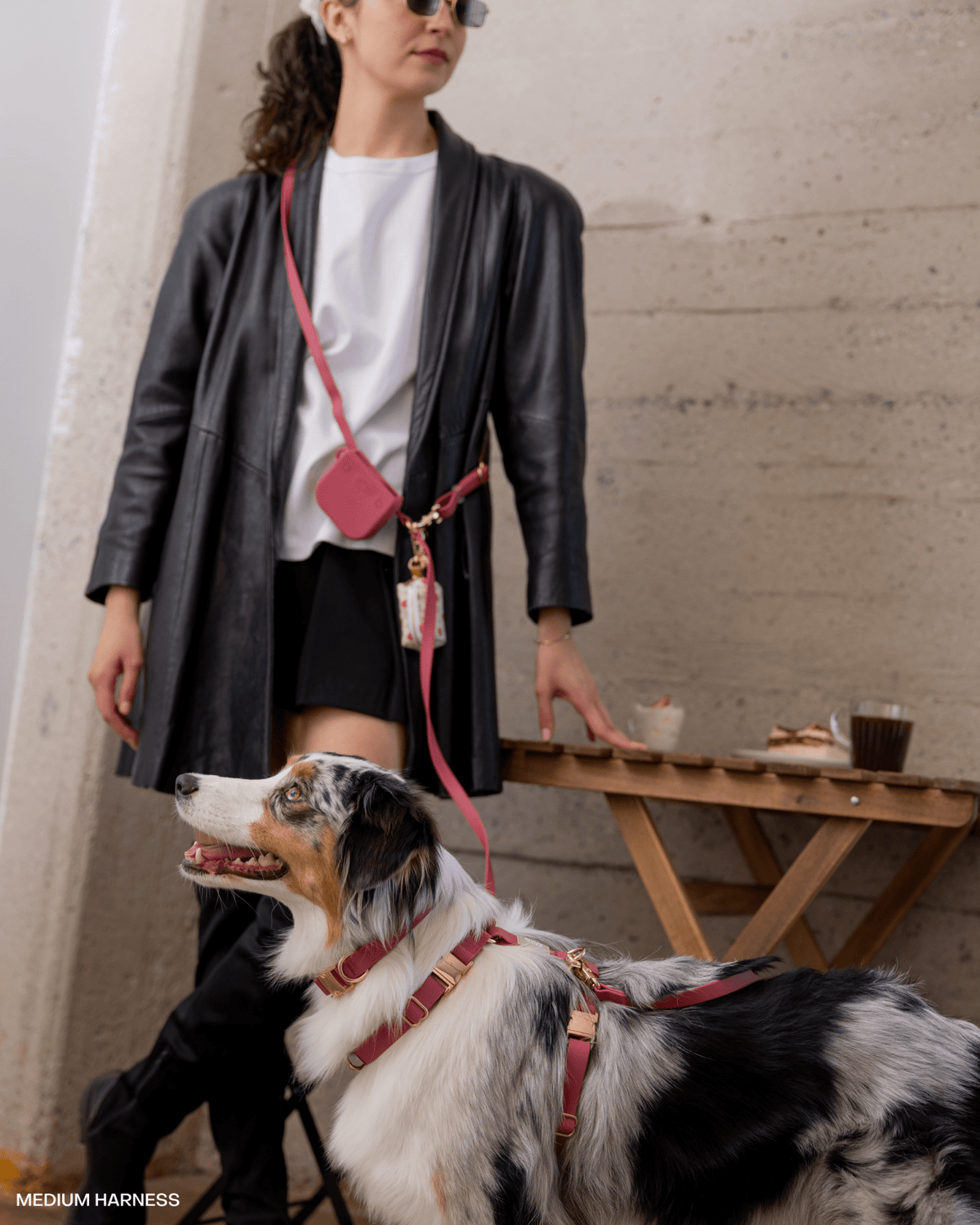 Mulberry Burgundy 4-in-1 Convertible Hands Free Cloud Dog Leash