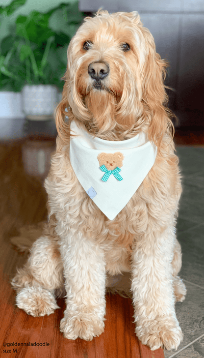 Picnic Teddy Ivory Linen Dog Bandana (Customizable)