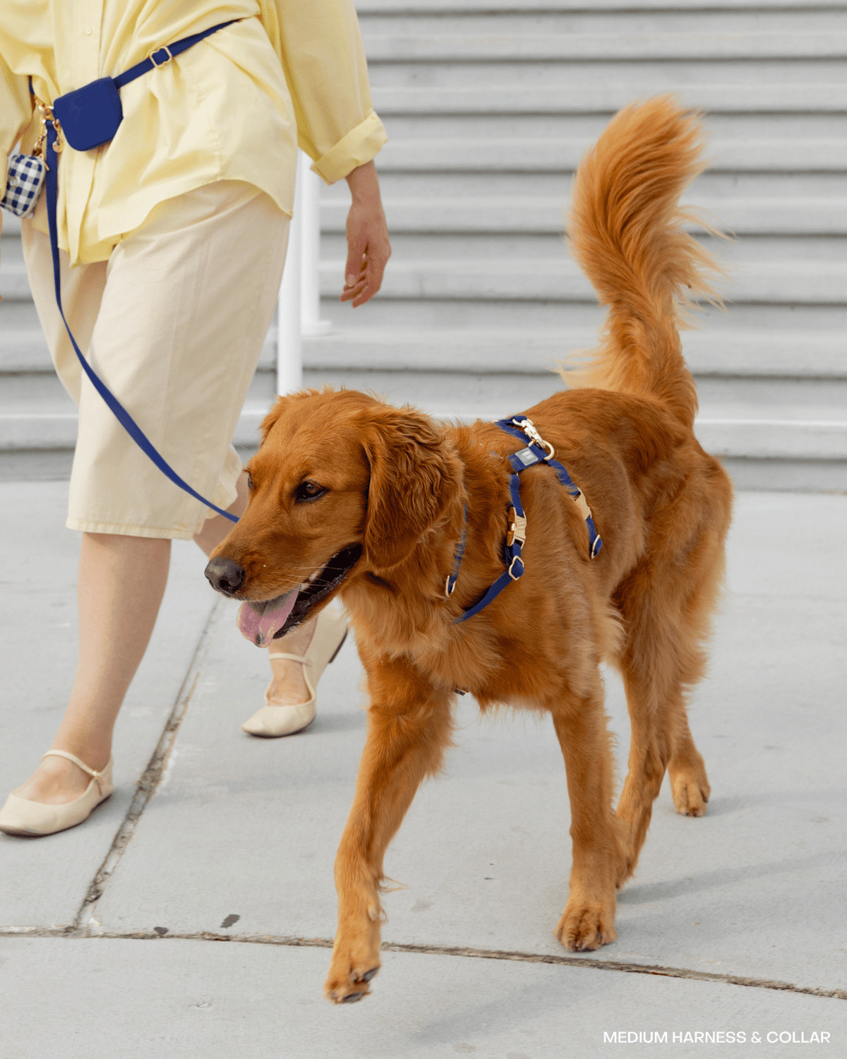 Signature Navy Cloud Leash Extension