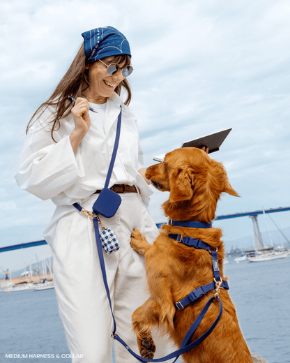 Best Sellers Harness & Standard Treat Pouch Bundle