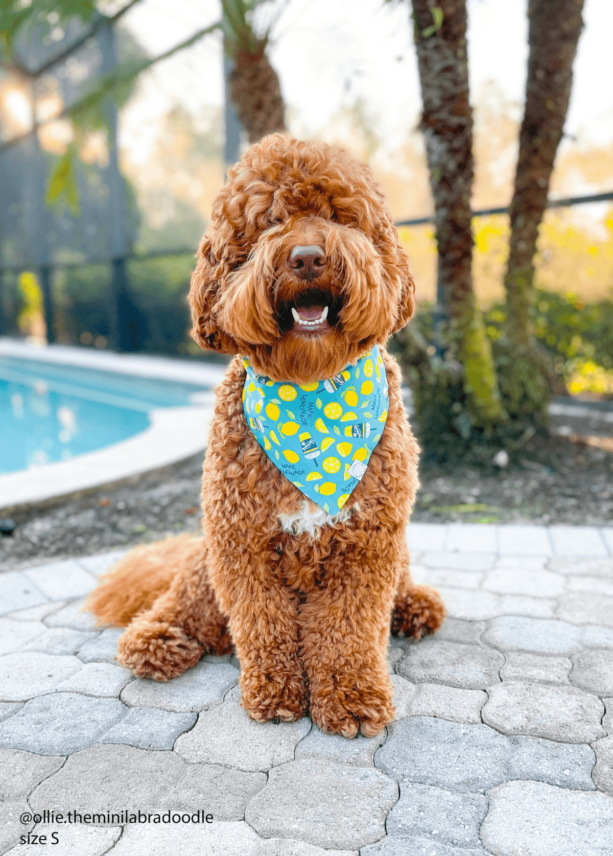 When Life Gives You Lemons Dog Bandana