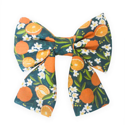 Simply The Zest Oranges Dog Sailor Bow
