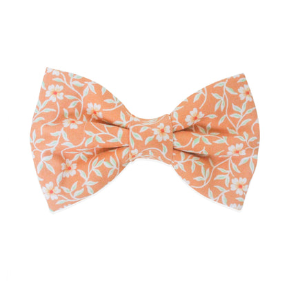 Sunkissed Daisies Orange Dog Bow Tie