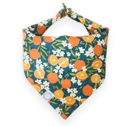 Simply The Zest Oranges Dog Bandana