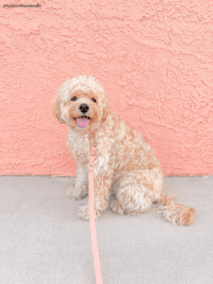 Peach Waterproof Cloud Dog Leash