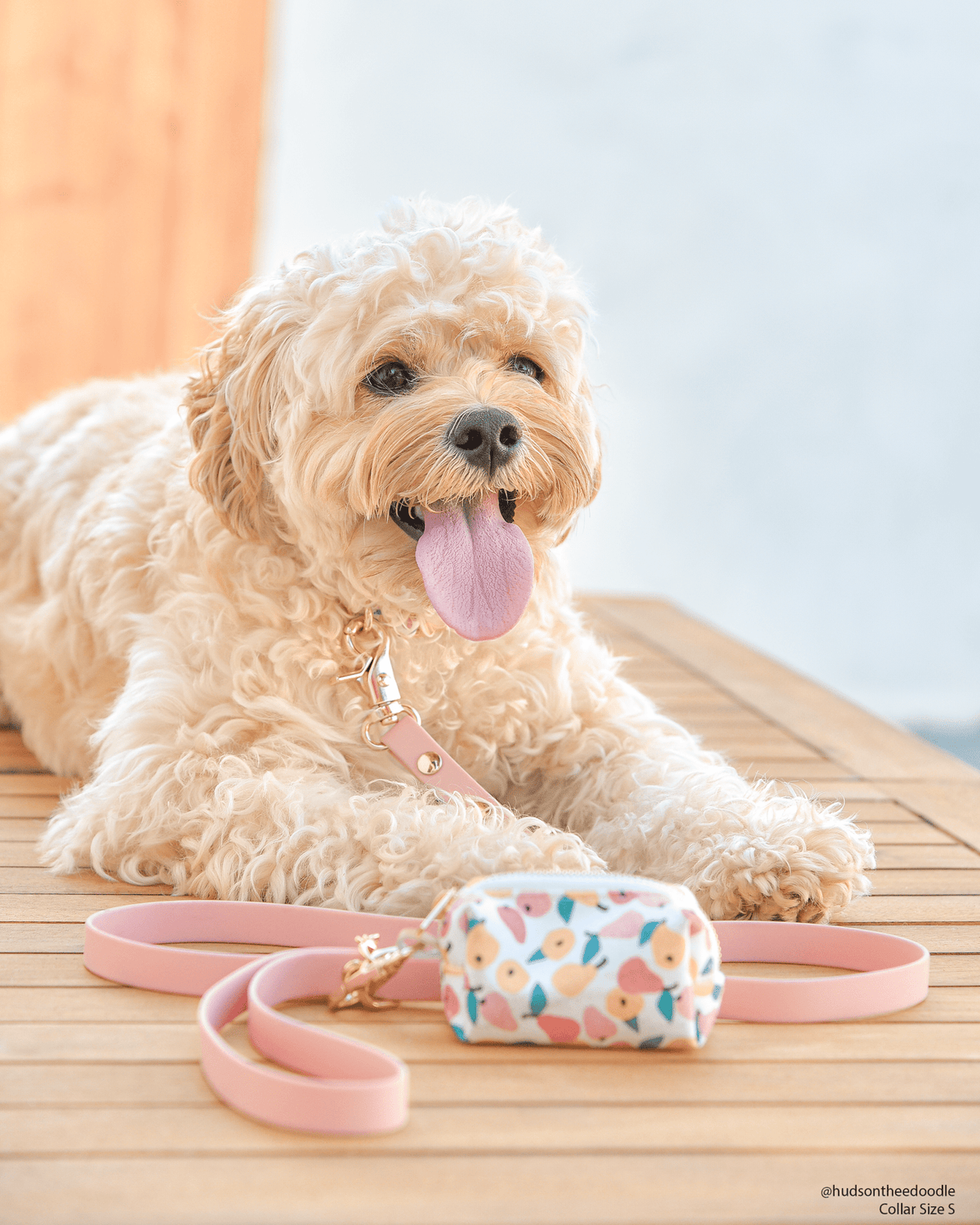 Peach Waterproof Cloud Dog Leash