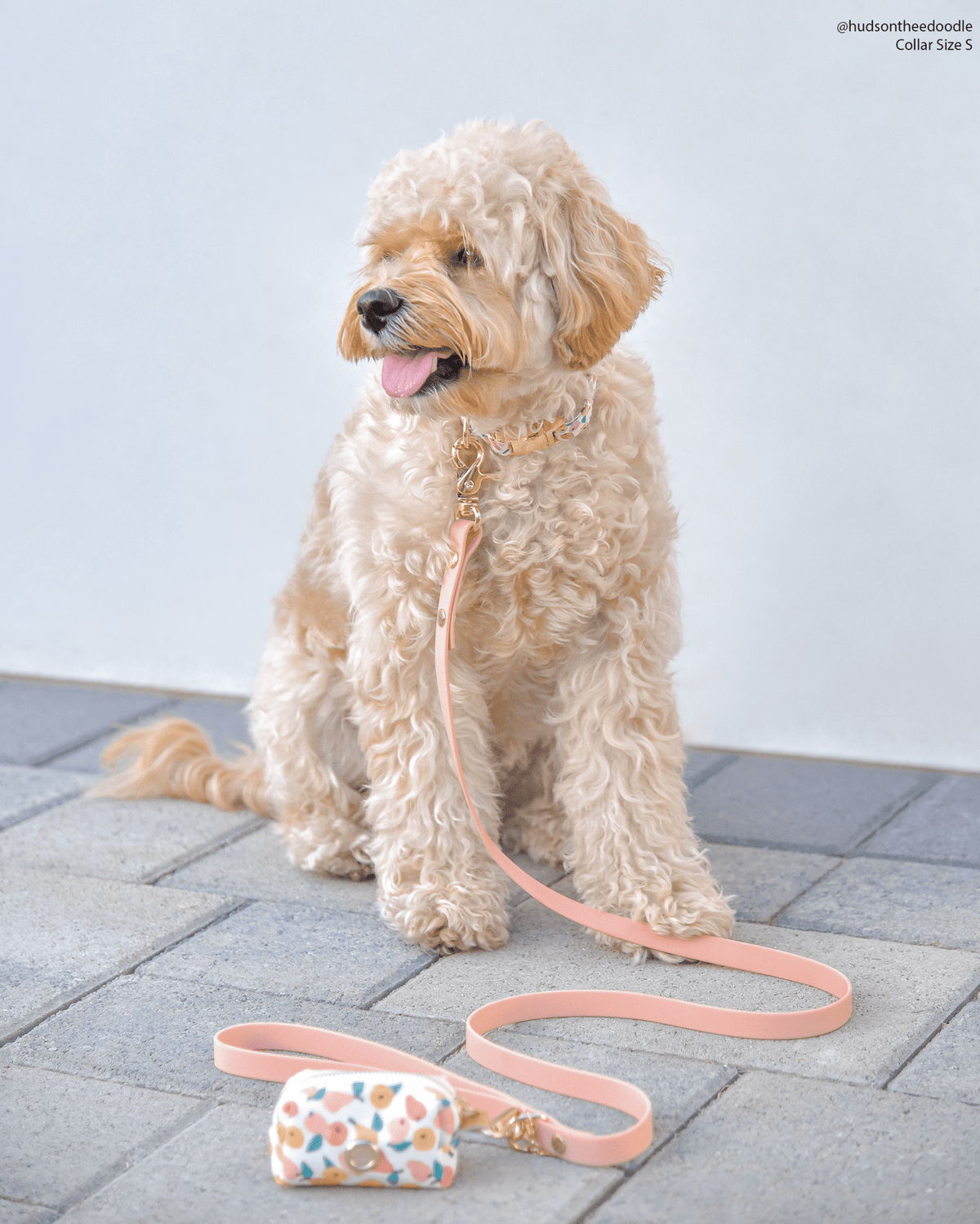 Peach Waterproof Cloud Dog Leash