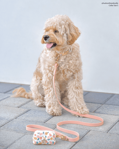 Peach Waterproof Cloud Dog Leash