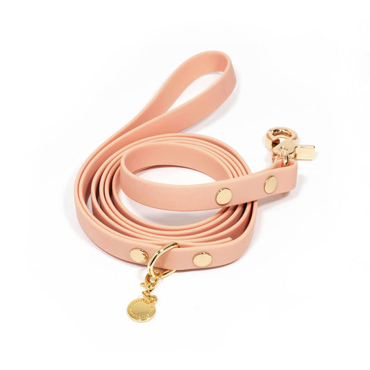 Peach Waterproof Cloud Dog Leash