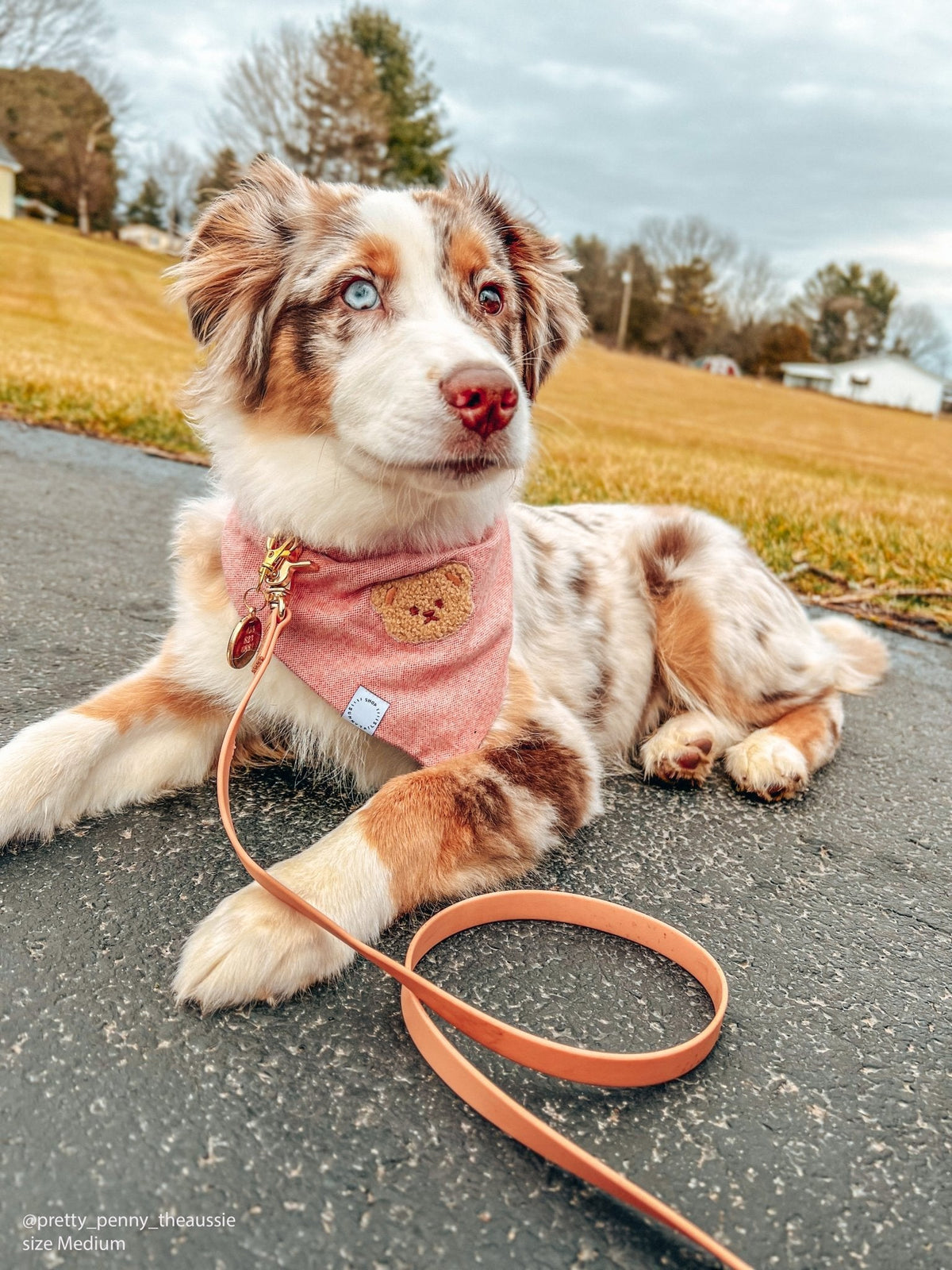 Pink Herringbone Flannel Teddy Bandana