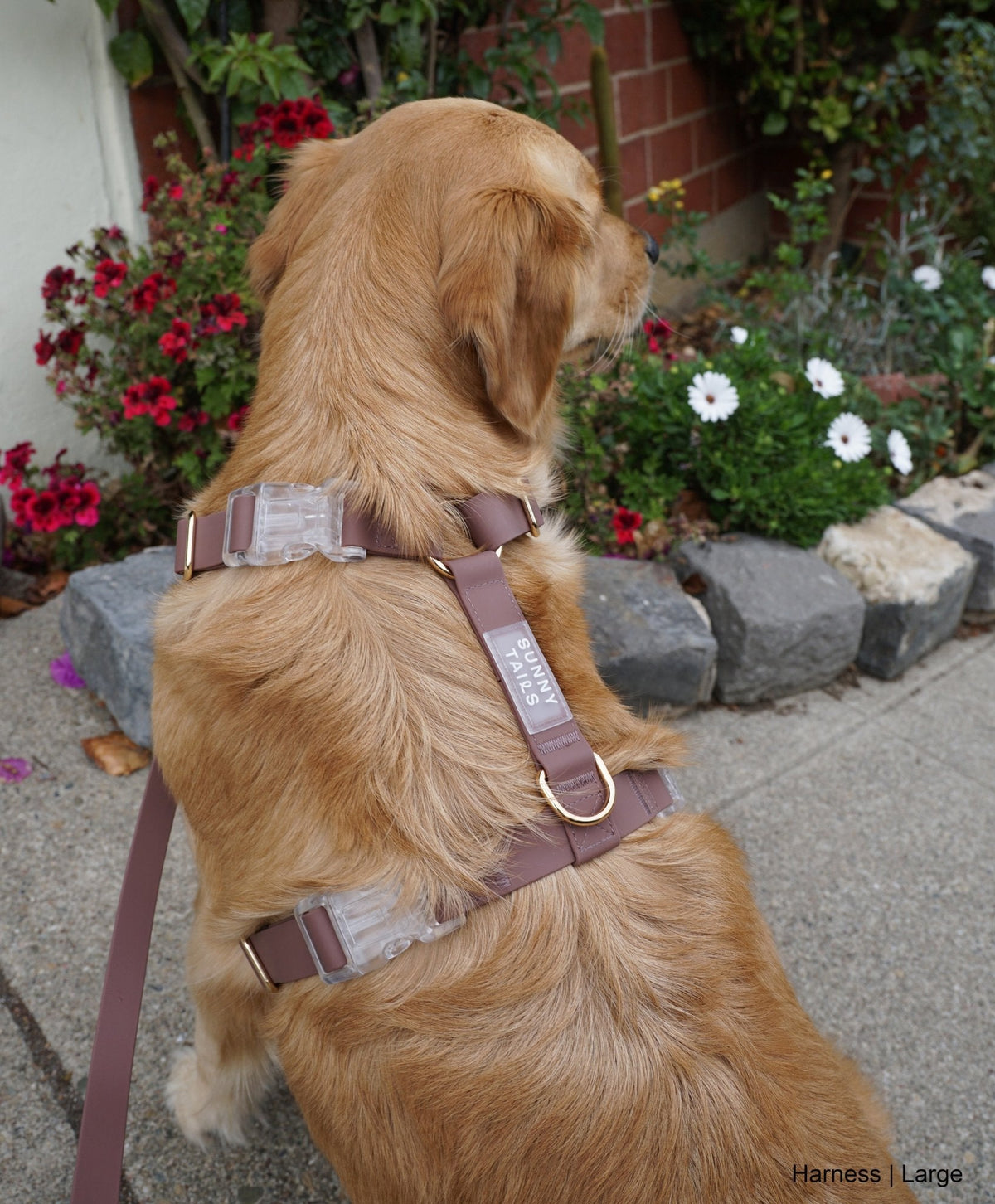 Espresso Brown Waterproof Cloud Dog Leash