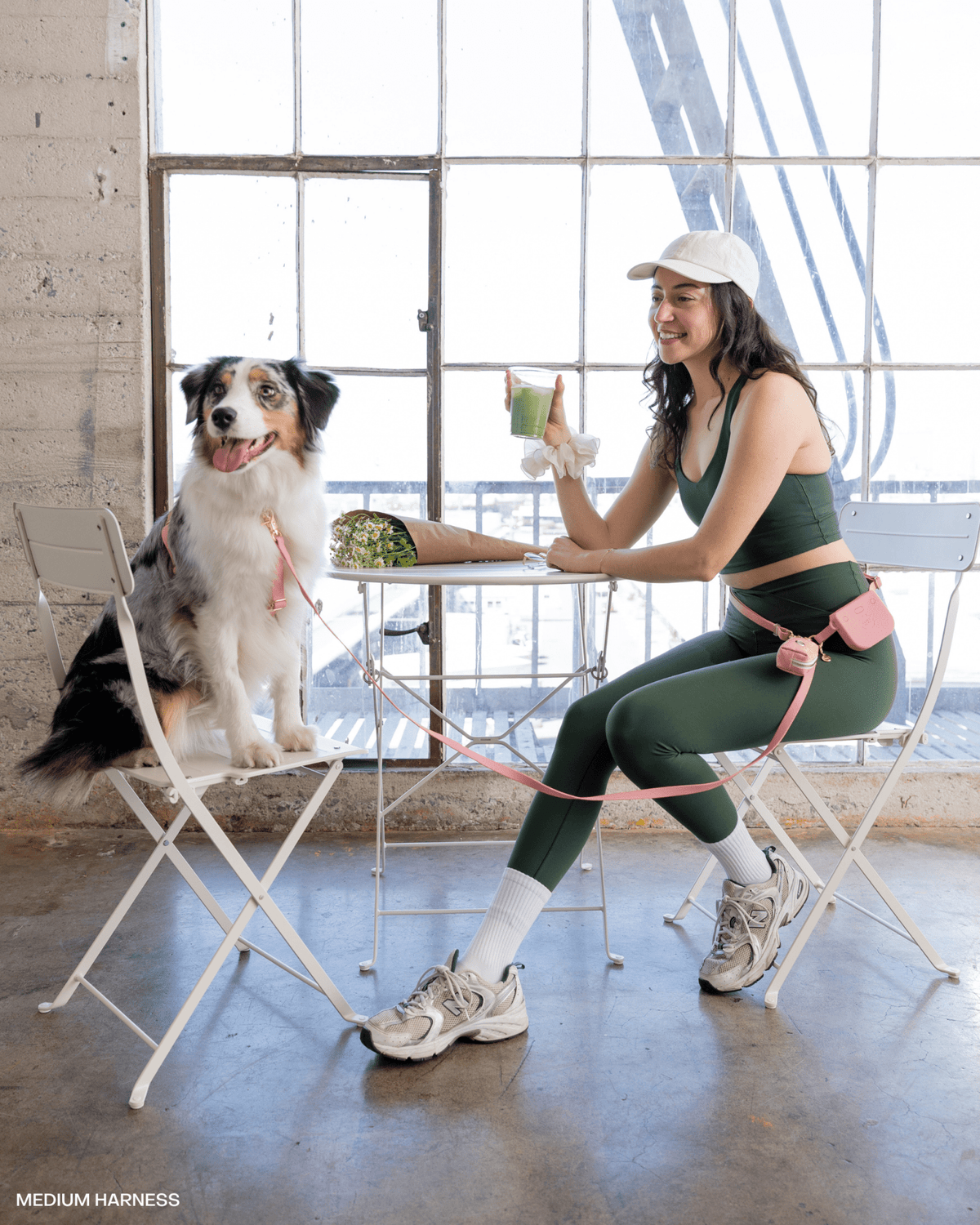 Best Sellers Harness & Large Treat Pouch Bundle