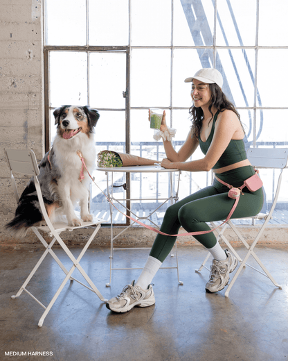 Cloud Lite Dog Harness Bundle