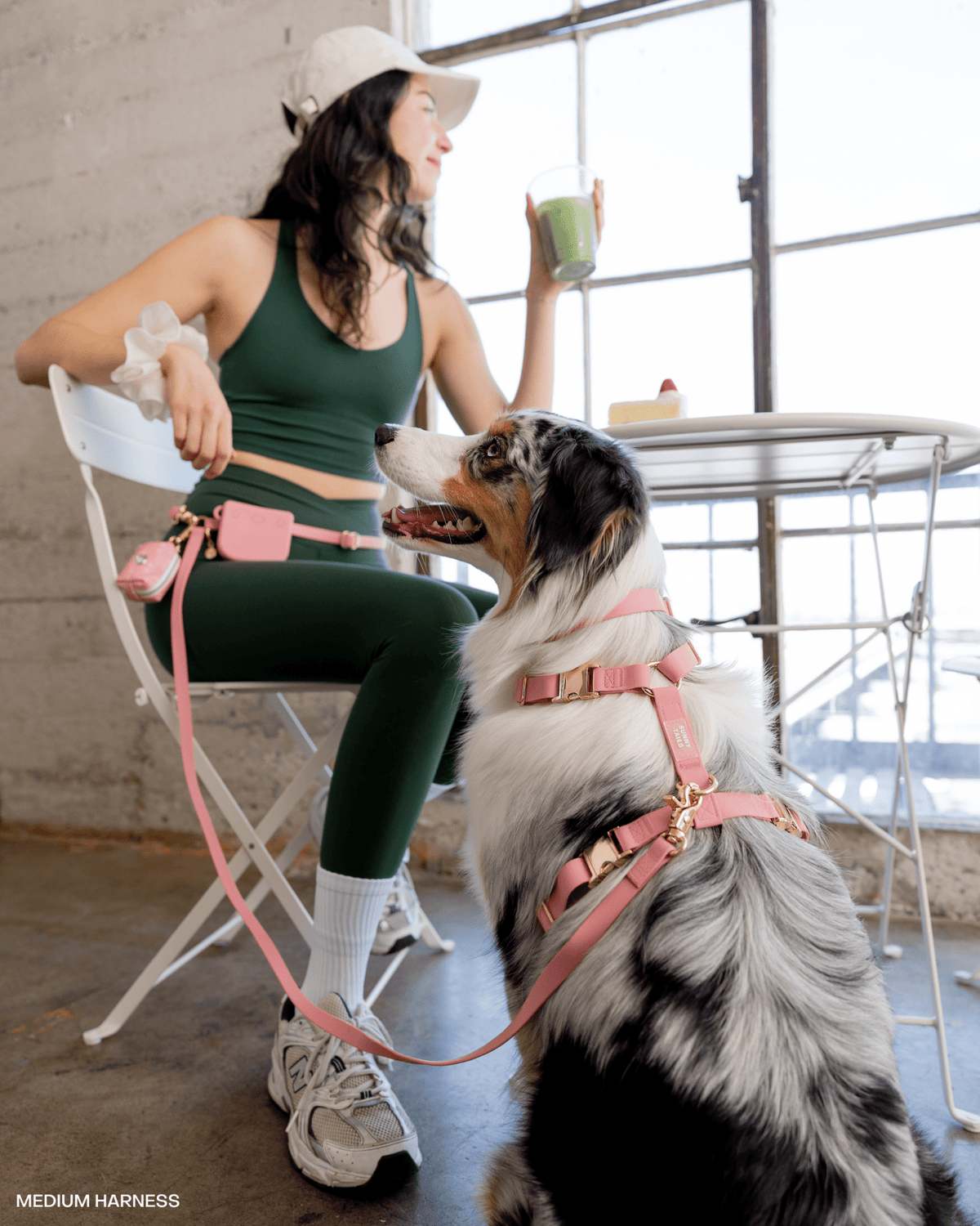Best Sellers Harness & Standard Treat Pouch Bundle