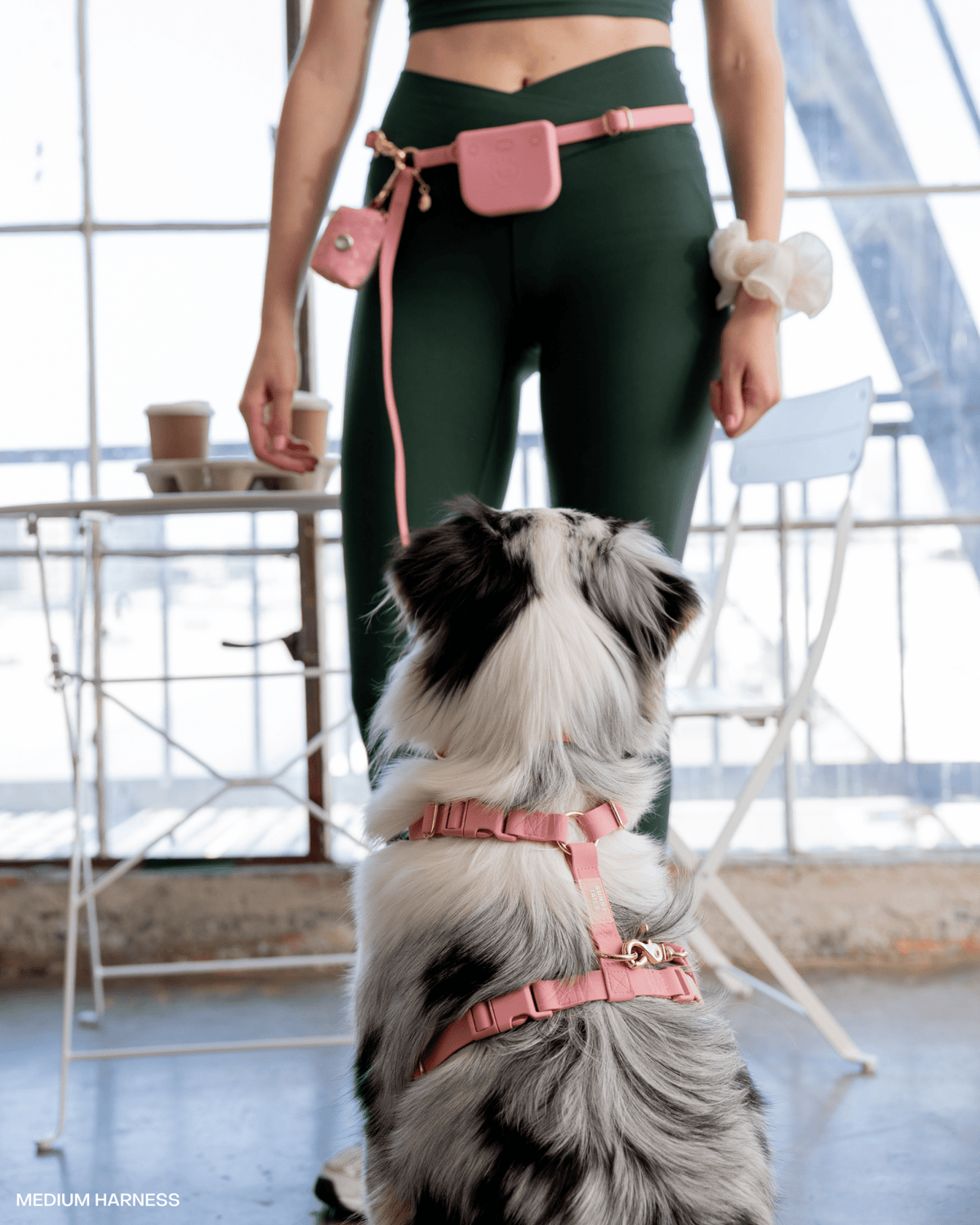 Best Sellers Collar & Treat Pouch Bundle