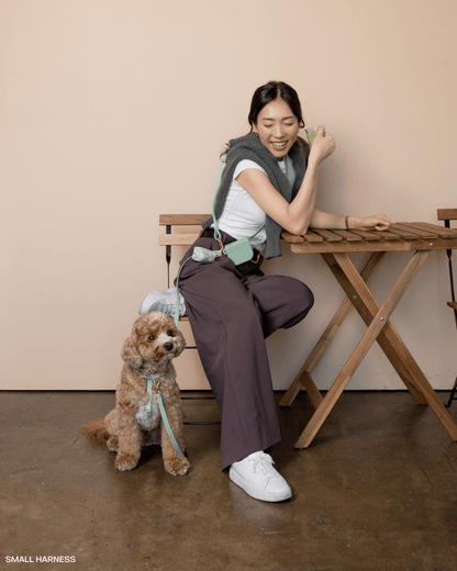 Snap Dog Treat Pouch Bundle
