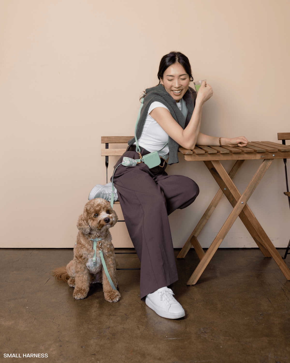 Best Sellers Harness & Standard Treat Pouch Bundle