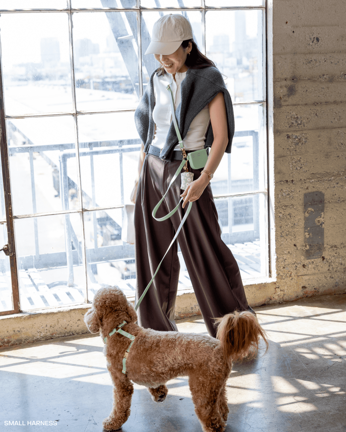 Best Sellers Harness & Standard Treat Pouch Bundle