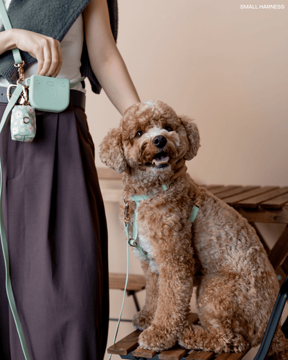 Best Sellers Collar & Treat Pouch Bundle