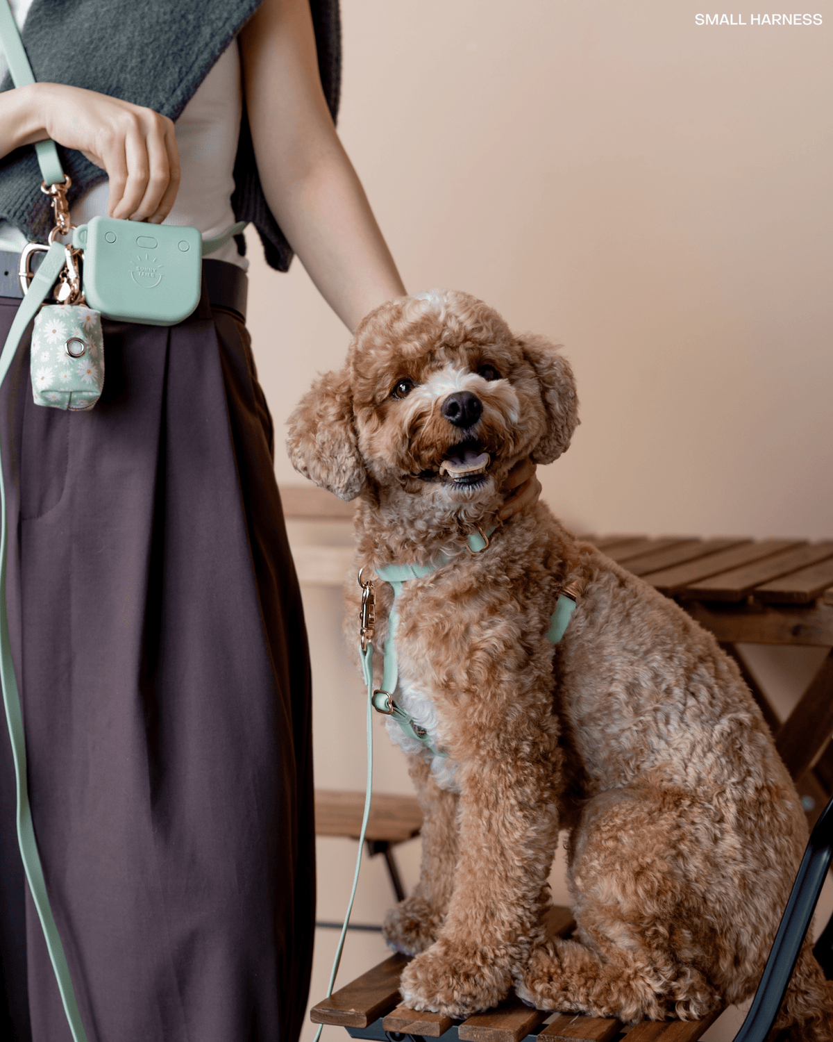 Cloud Lite Dog Harness Bundle