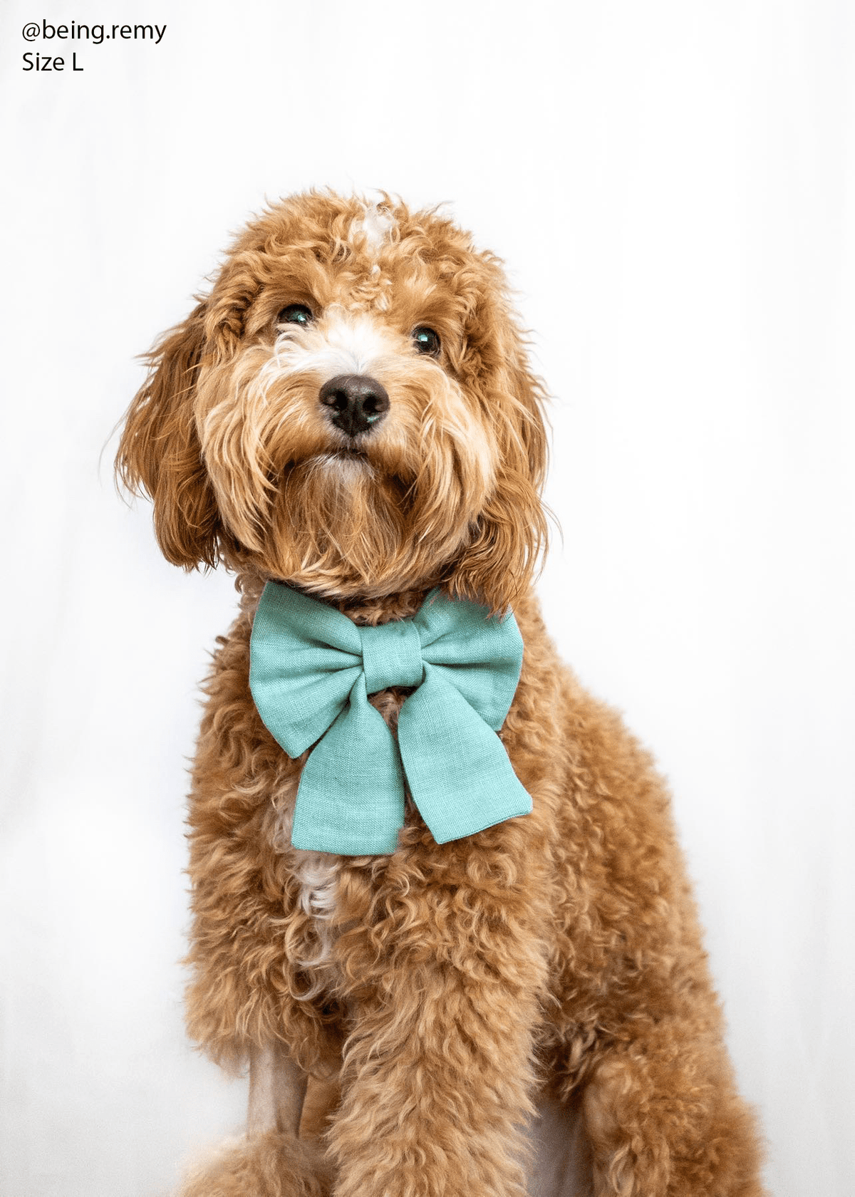 Matcha Sage Green Linen Dog Sailor Bow