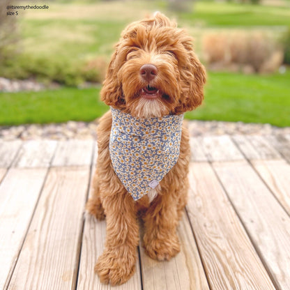 Daisies Field Dog Bandana