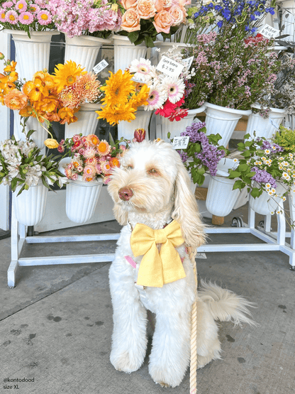 Yuzu Yellow Linen Dog Sailor Bow