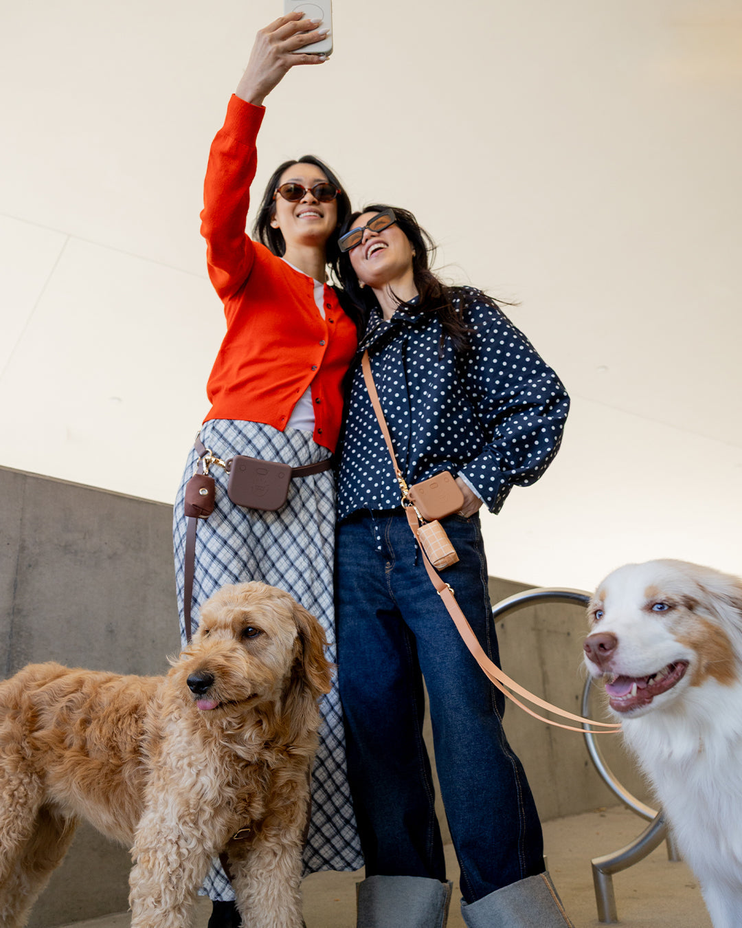 Chai Brown Snap Dog Treat Pouch