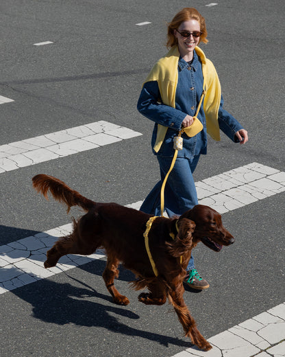 Dandelion Yellow 4-in-1 Convertible Hands Free Cloud Dog Leash