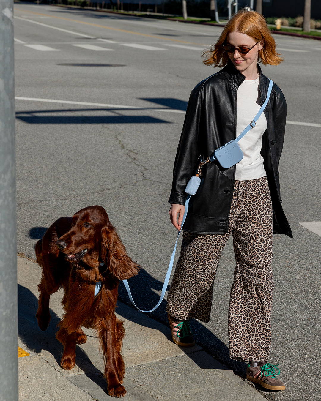 Cloud Dog Collar Bundle
