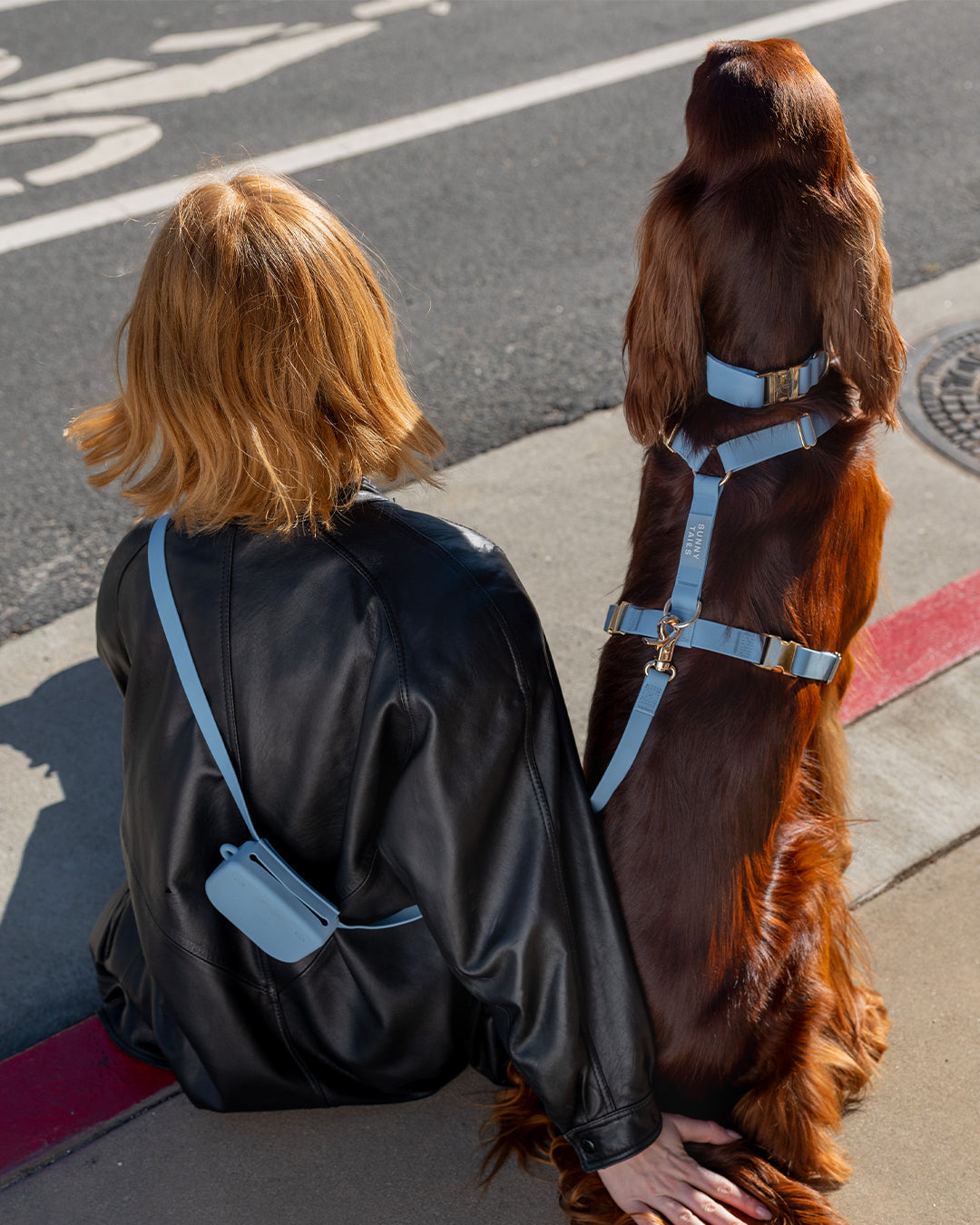 Best Sellers Collar & Treat Pouch Bundle