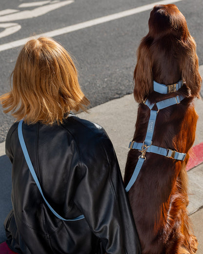 Cloud Lite Dog Harness Bundle