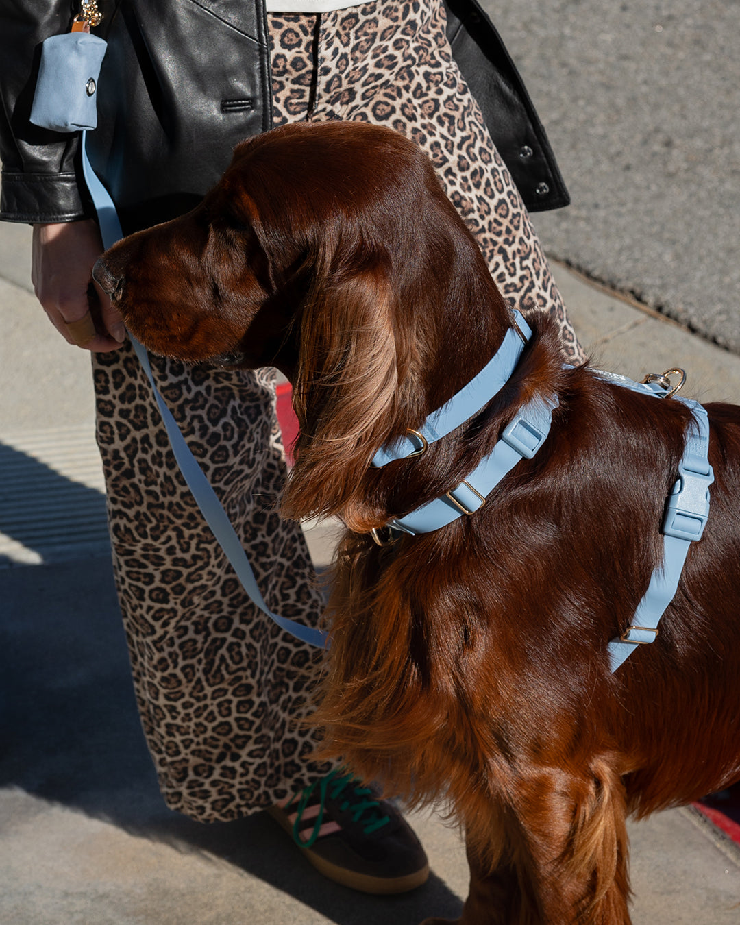Cloud Lite Dog Harness Bundle