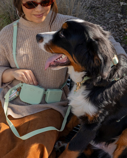 Best Sellers Harness & Standard Treat Pouch Bundle