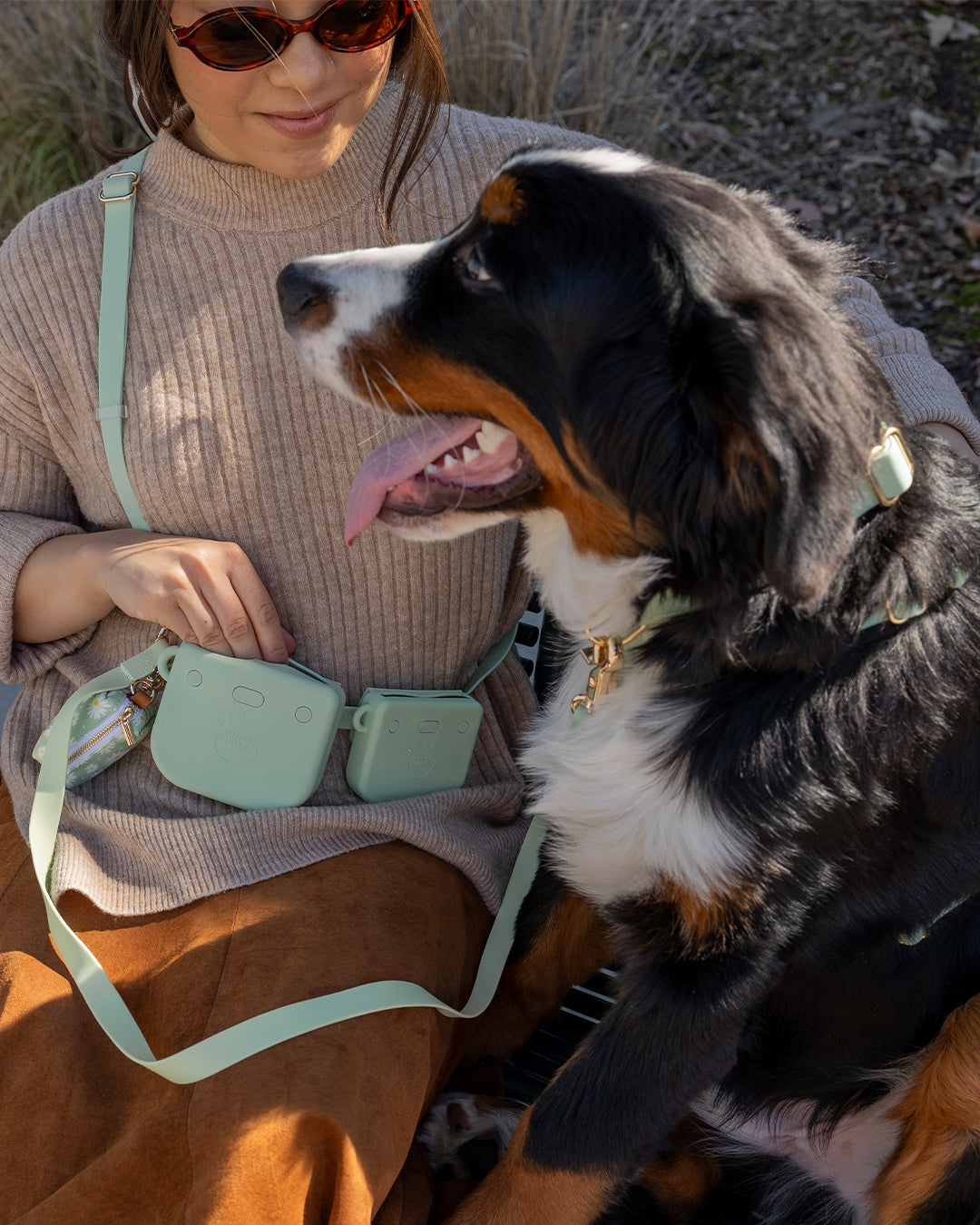 Best Sellers Harness & Large Treat Pouch Bundle