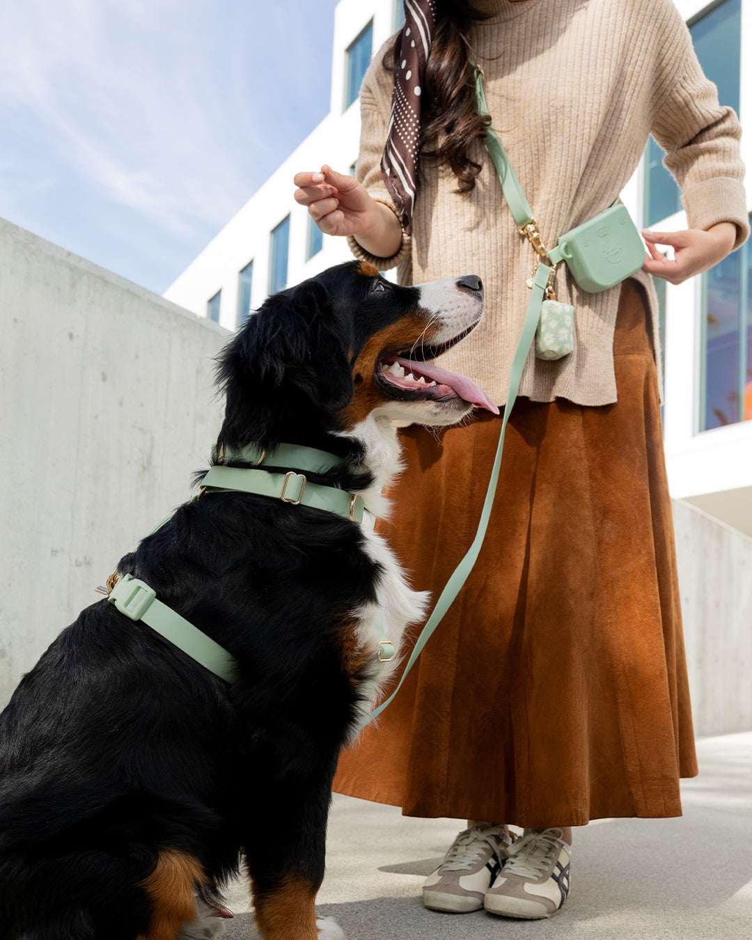 Best Sellers Collar & Treat Pouch Bundle