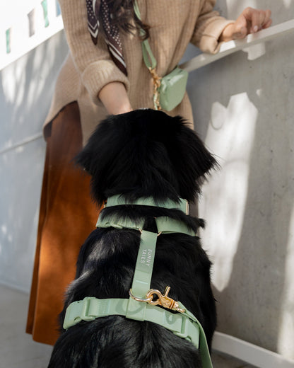 Best Sellers Harness & Standard Treat Pouch Bundle