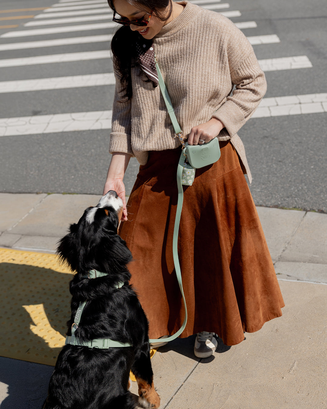 Best Sellers Collar & Treat Pouch Bundle