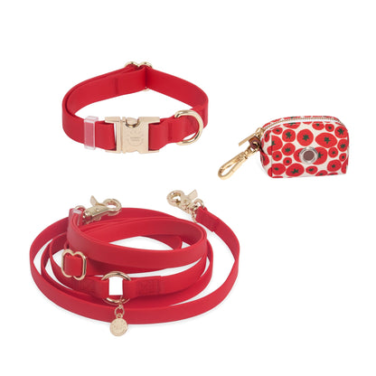 Cloud Dog Collar Bundle
