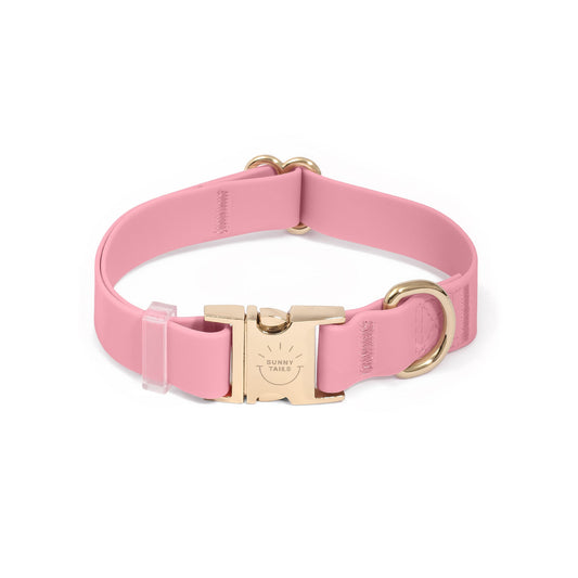 Perfect Pink Waterproof Dog Collar