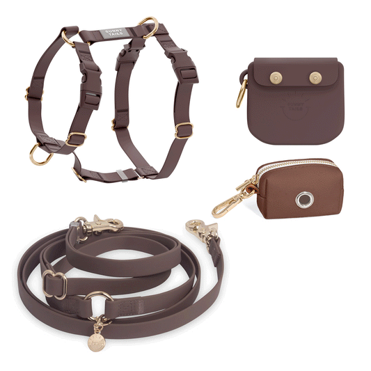 Best Sellers Harness & Standard Treat Pouch Bundle