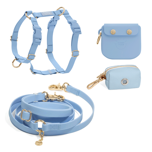Best Sellers Harness & Large Treat Pouch Bundle