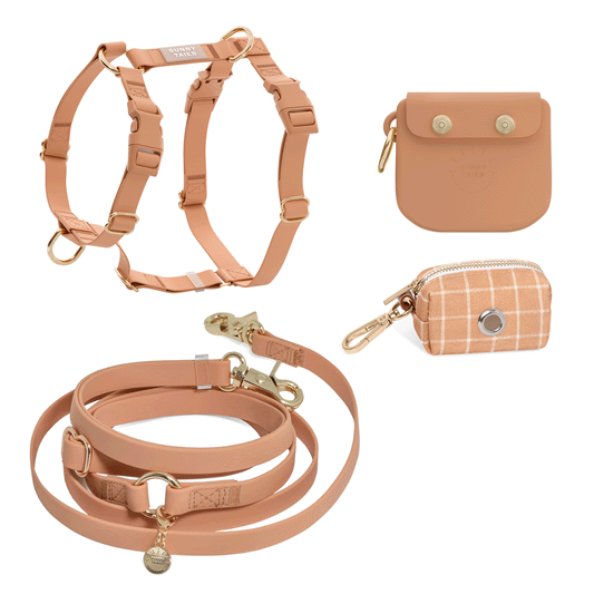 Best Sellers Harness & Large Treat Pouch Bundle