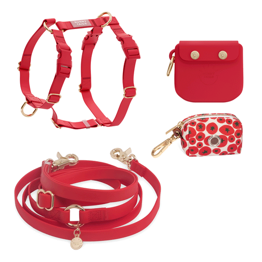 Best Sellers Harness & Standard Treat Pouch Bundle